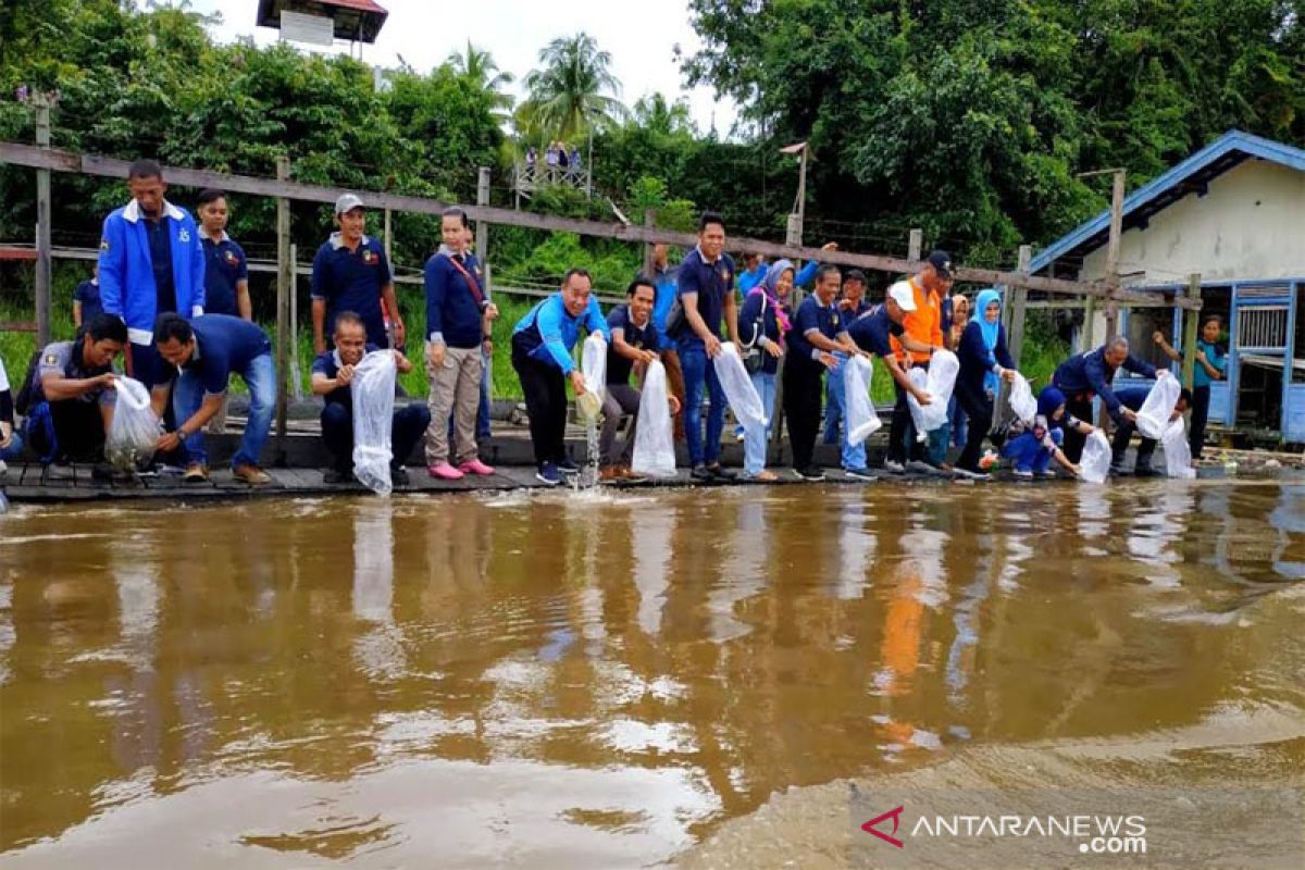 Barut  tebar 15 ribu bibit ikan di  Sungai Barito