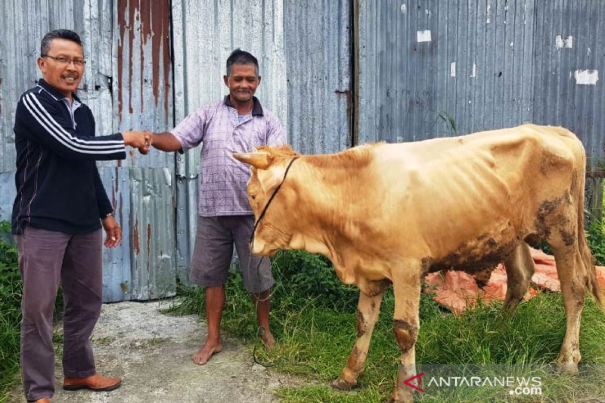 Padang Panjang beri bantuan bibit ternak pada warga agar lepas dari kemiskinan