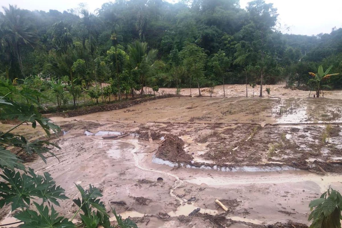 Sembilan rumah di Solok Selatan rusak dihantam arus Sungai Batang Suliti