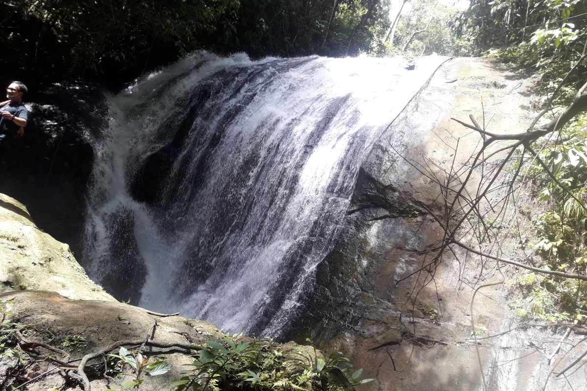 Hutan Wehea miliki potensi objek wisata air terjun Mbang Long Pla