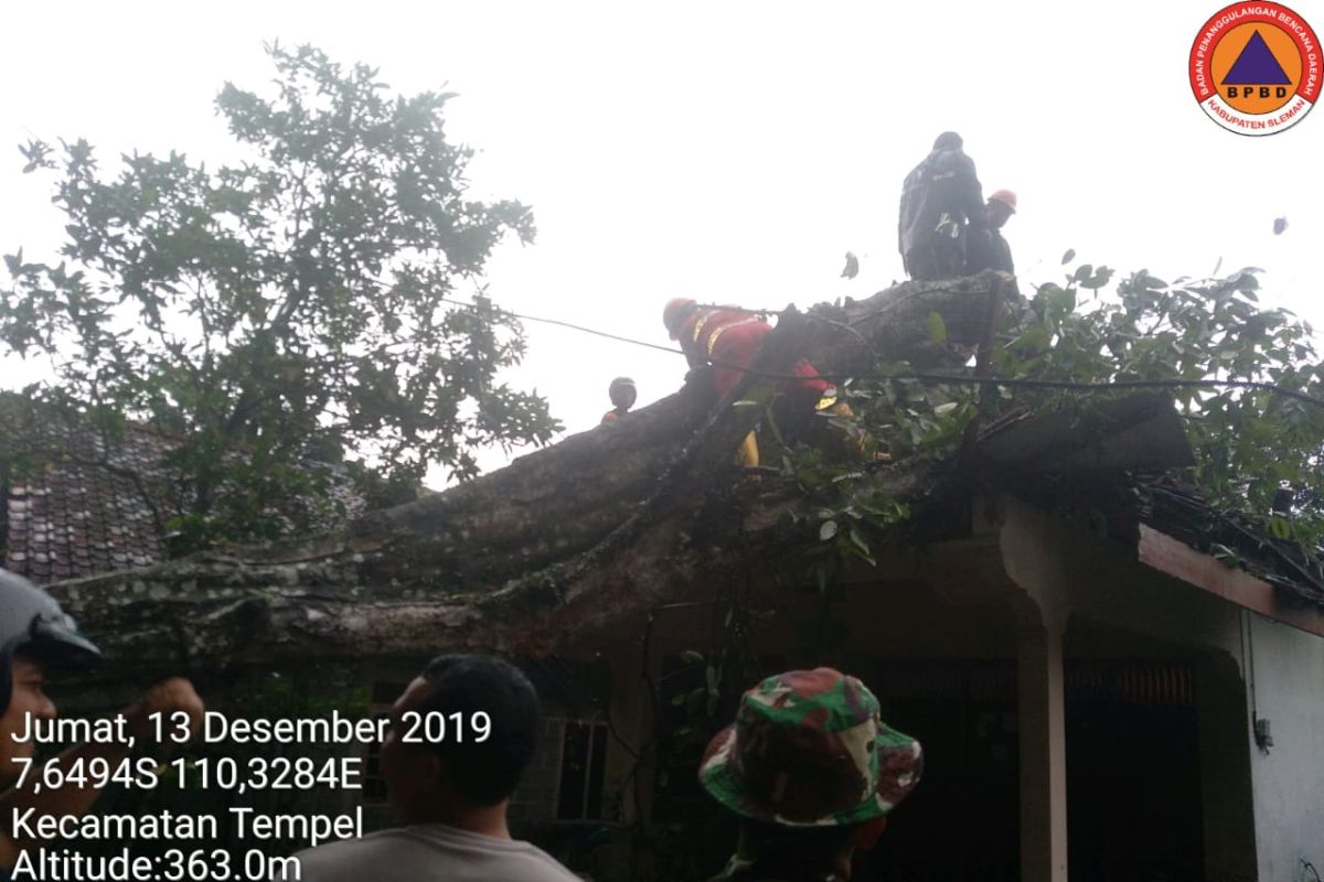 DLH Sleman memperbolehkan masyarakat pangkas dahan secara mandiri