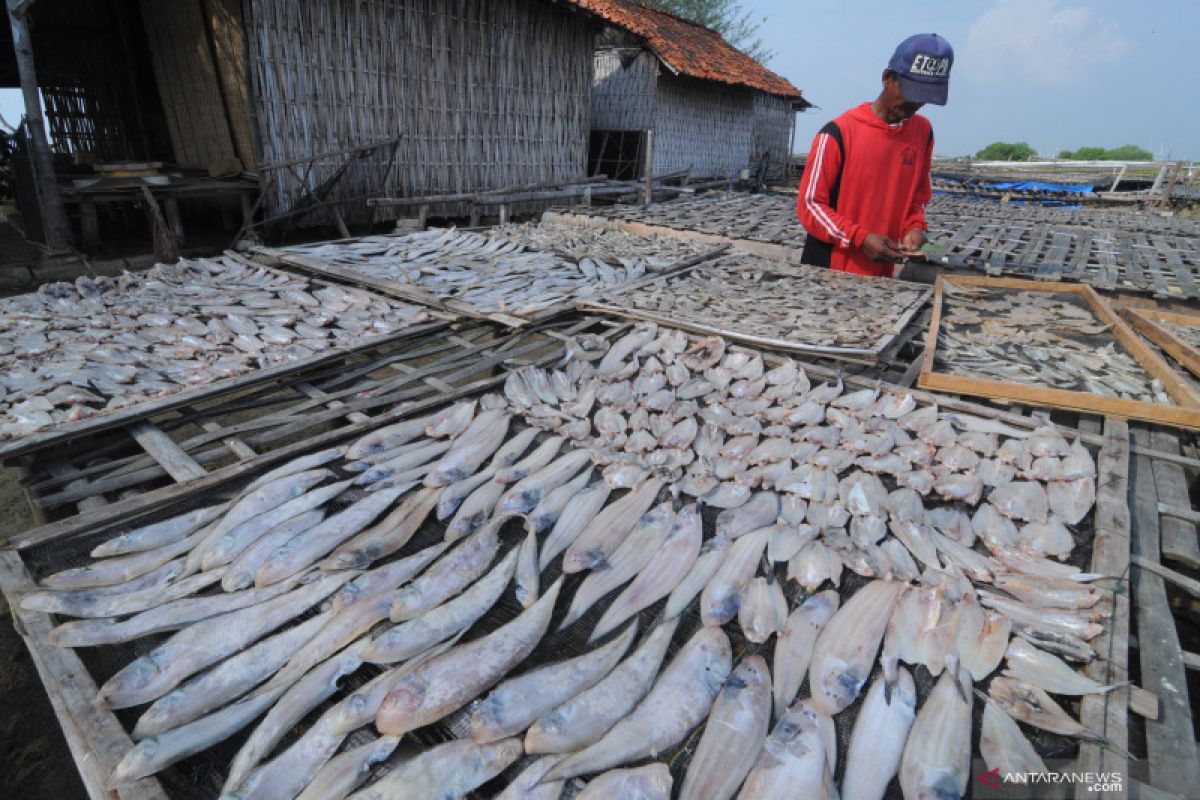 Produksi ikan kering