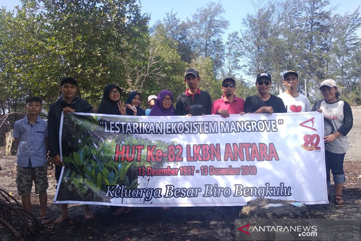 HUT ke-82, LKBN Antara Biro Bengkulu tanam ratusan mangrove