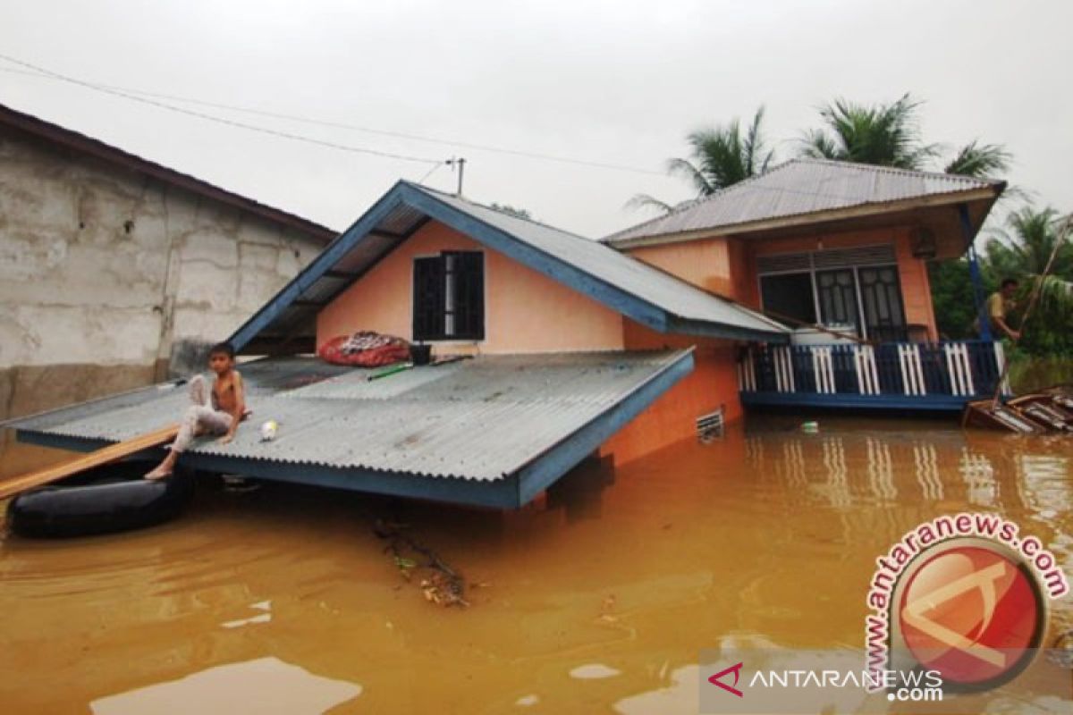 Walhi Riau: Pemda harus prediksi bencana banjir  kurangi kerugian besar