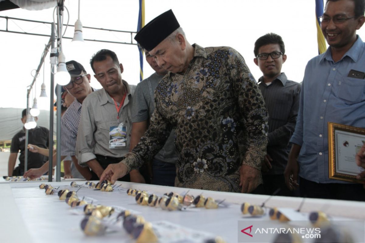 Hari ini ada kontes batu akik dan bazar ikan hias di Baturaja