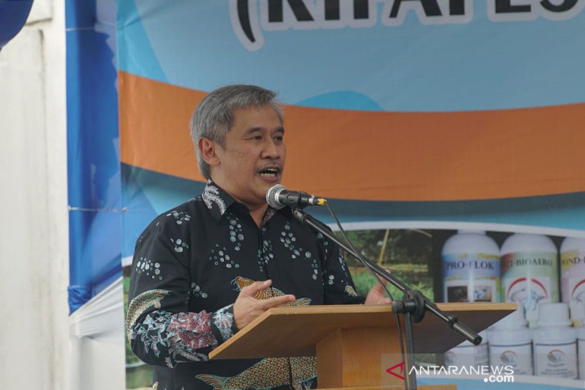 KKP siapkan unit pembenihan rakyat kembangkan budi daya