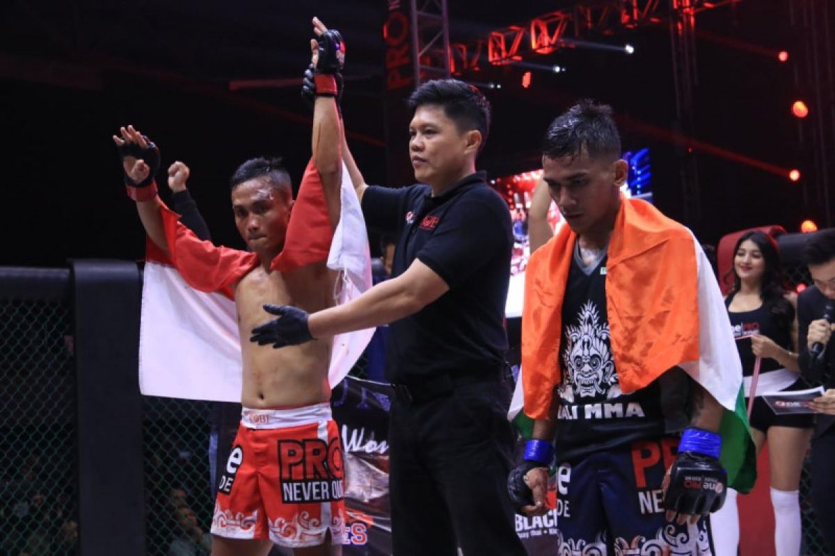 Kemenpora: Perkembangan MMA di Indonesia pesat