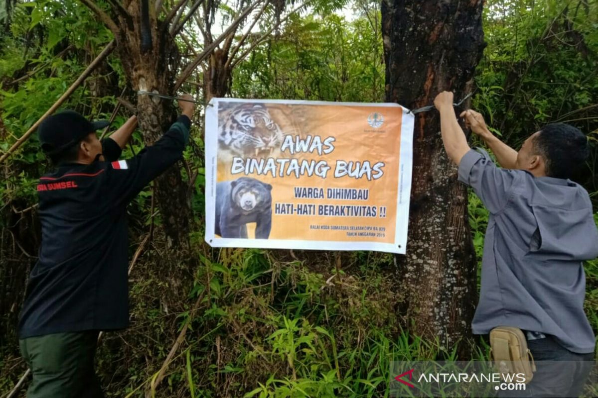 BKSDA pasang spanduk peringatan bahaya binatang buas di Desa Pulau Panas dan Gunung Dempo