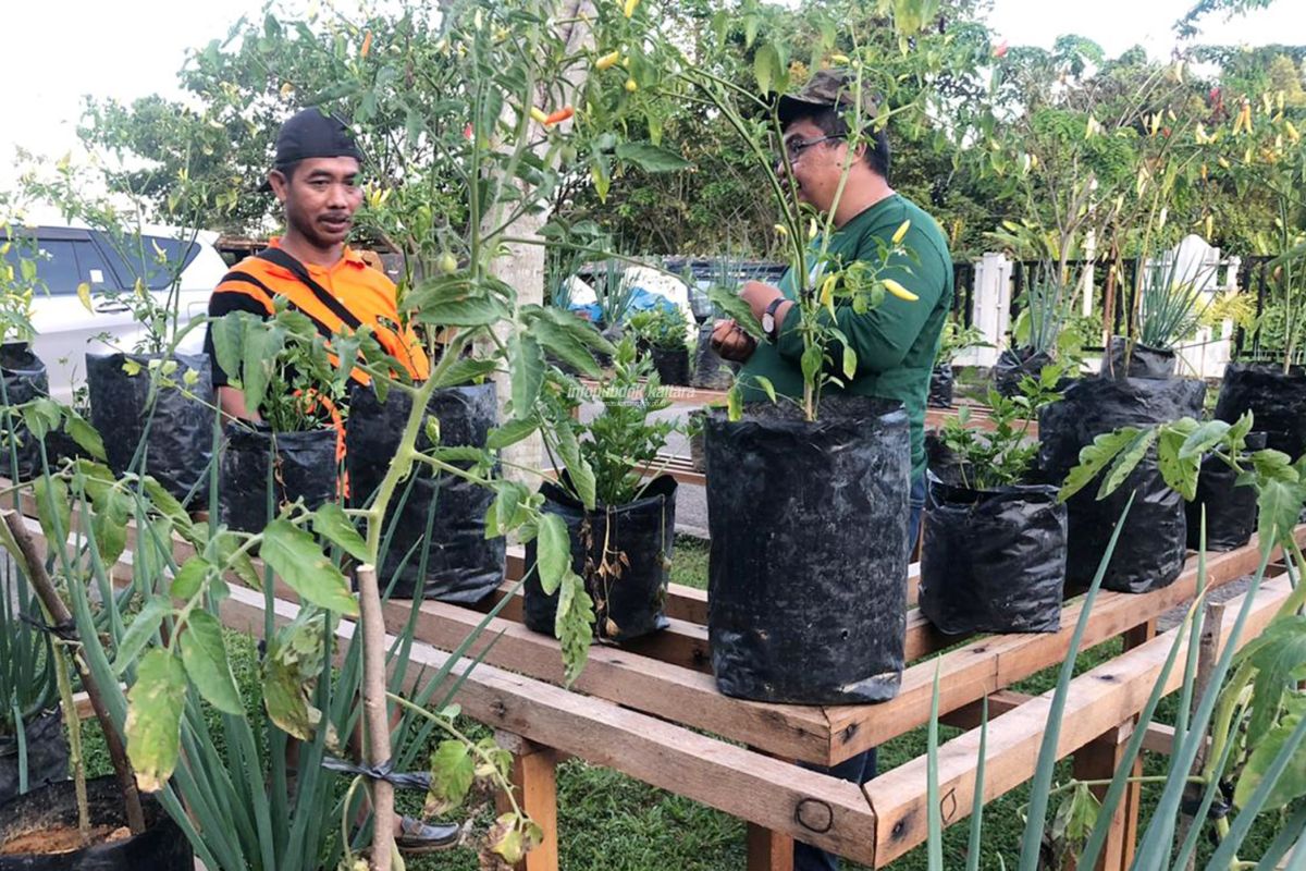 Manfaatkan Area Perkantoran Sebagai Sumber Gizi