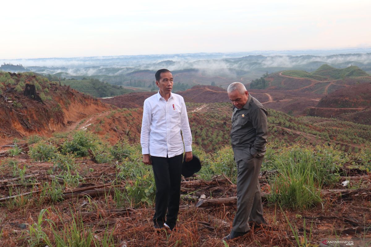 Presiden Jokowi tinjau lokasi ibu kota baru di kawasan konsesi HPH