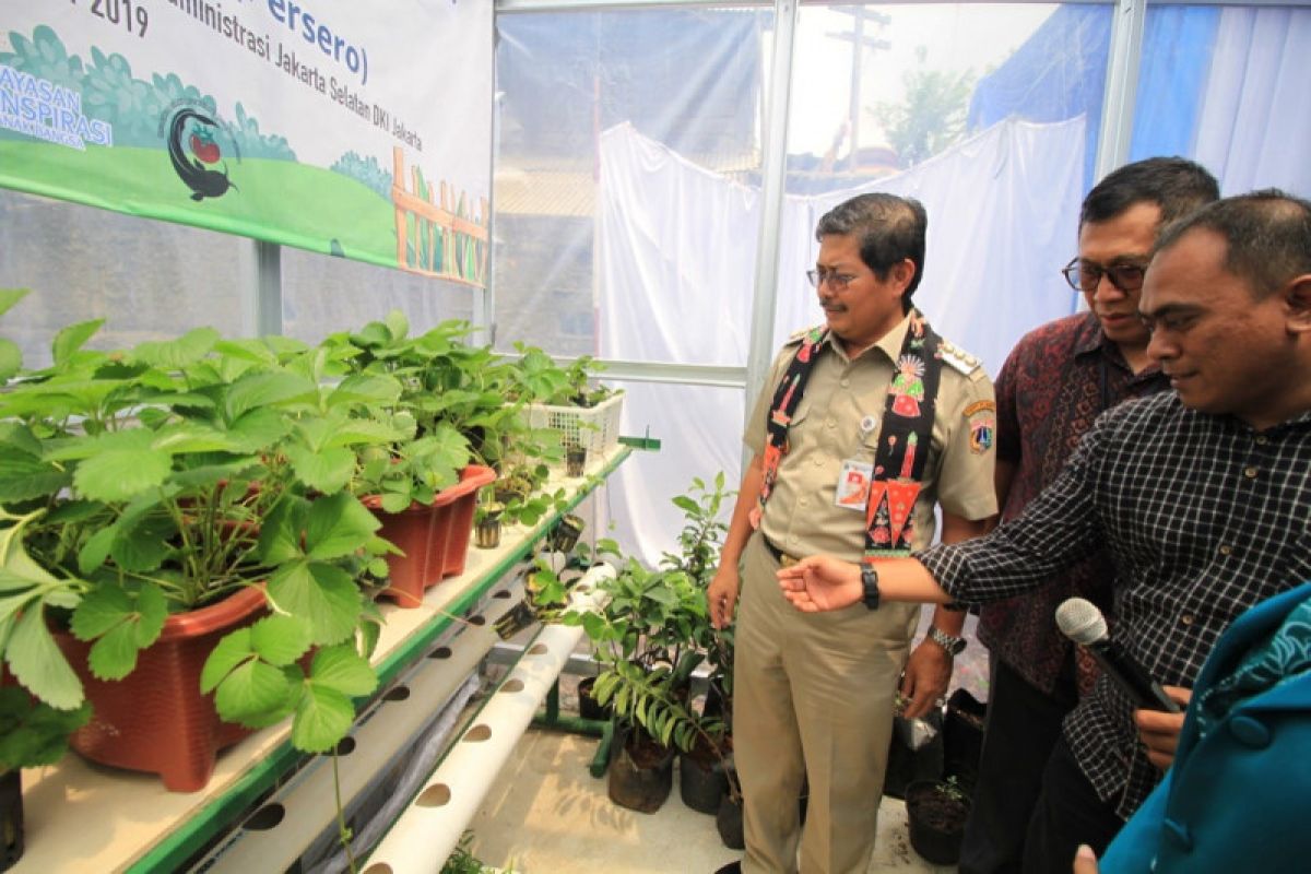 "Kampung Buah Jasindo" hadir di Jakarta Selatan