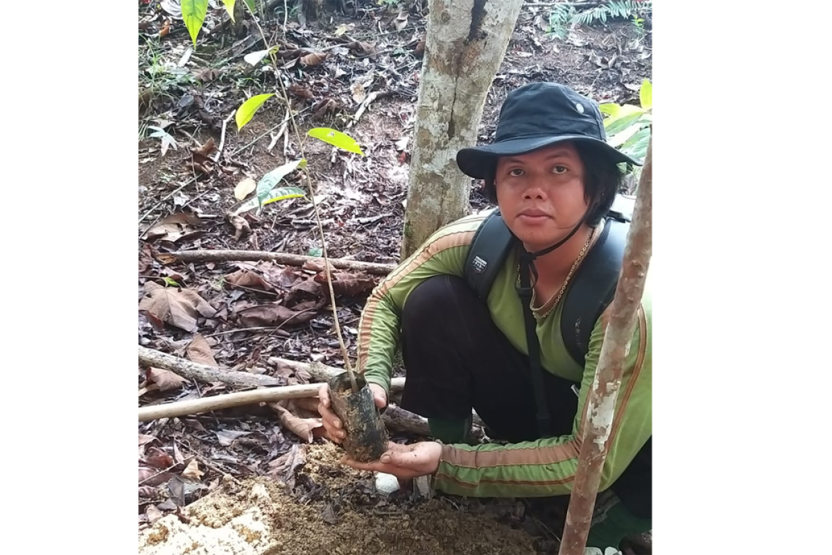 Seorang warga perbatasan hilang di hutan rehabilitasi Kalimantan