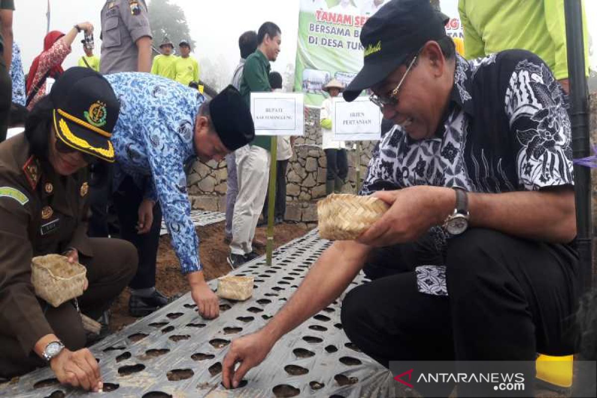 Kementan: Temanggung sentra pengembangan produksi benih bawang putih