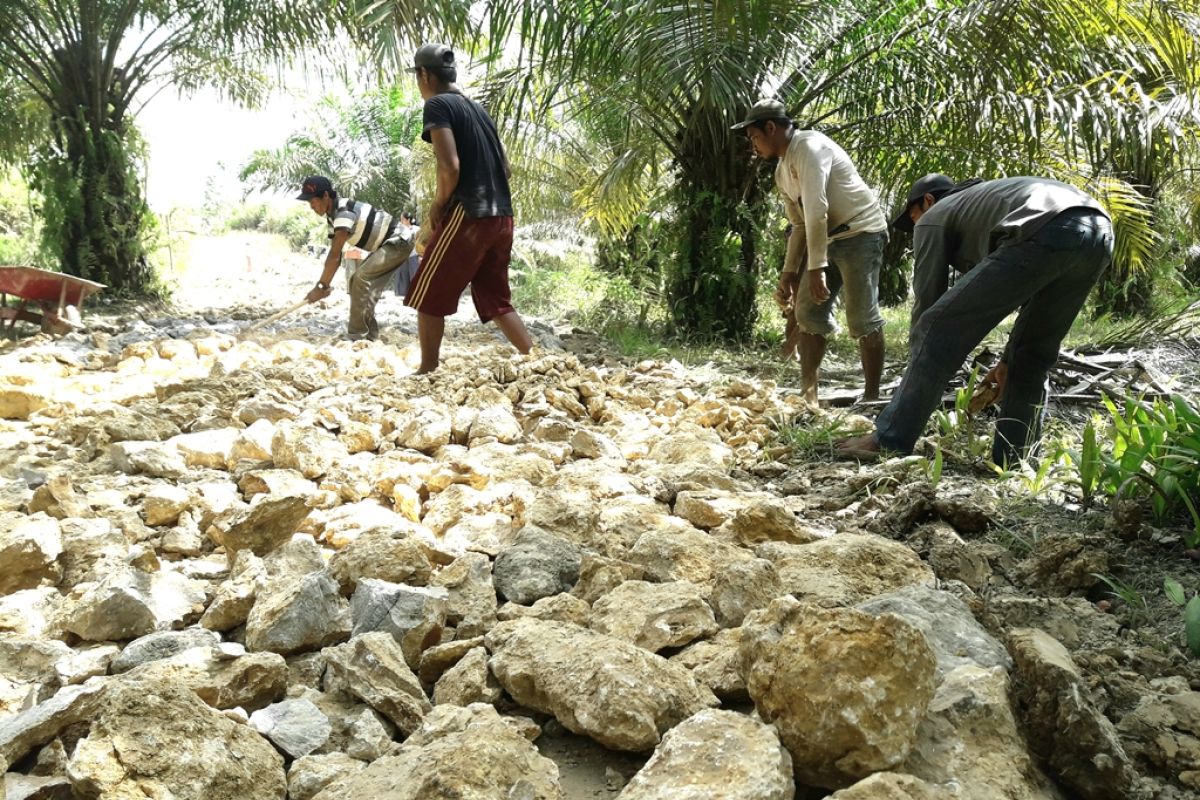 Dana Desa yang telah dikucurkan ke Kaltim sebesar Rp3,074 triliun