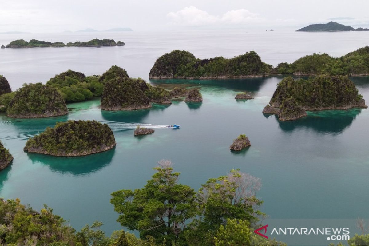 Kapal Pesiar dilaporkan kandas di Perairan Raja Ampat