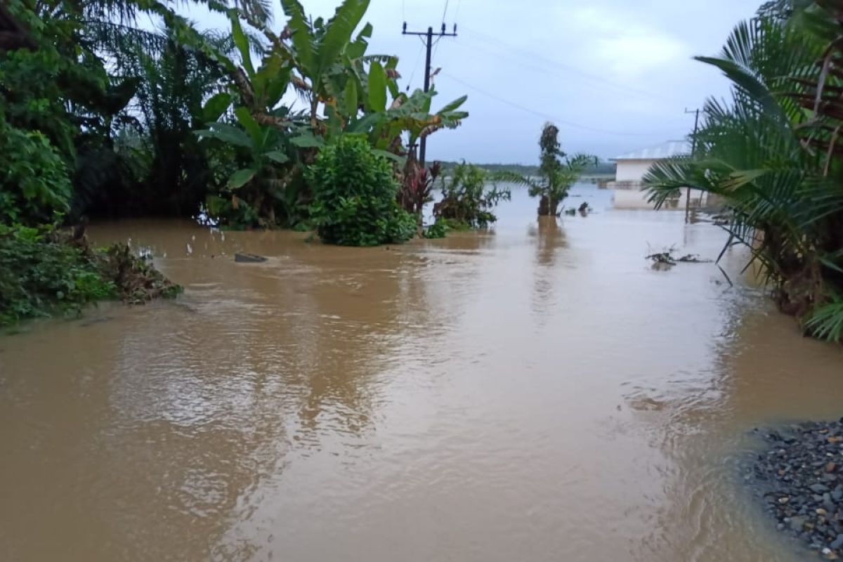 Banjir kembali melanda Sirapit Langkat, 115 hektare sawah terendam