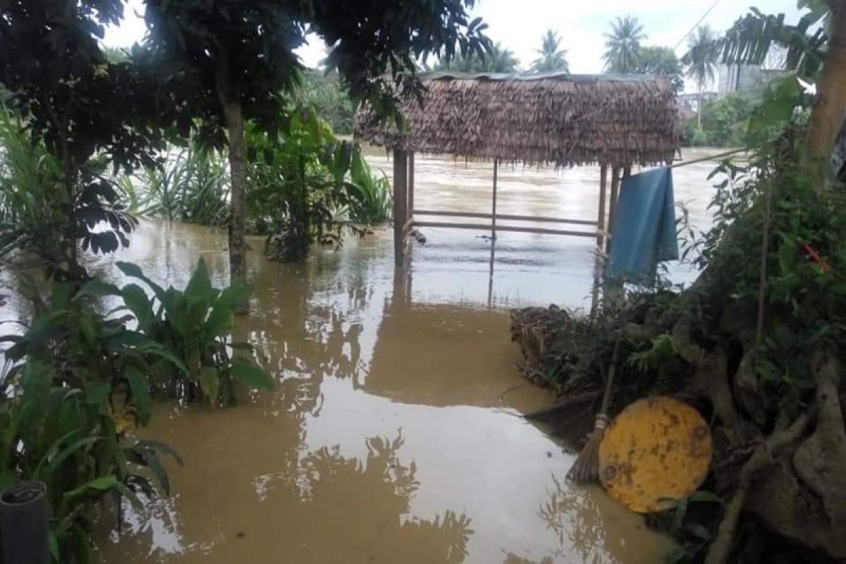 Curah hujan tinggi, air Sungai Wampu mulai masuk ke pemukiman warga