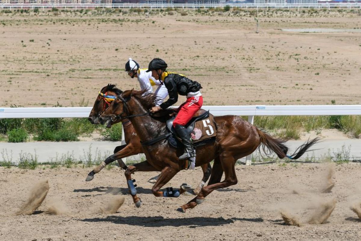 Ibukota kuda Tiongkok Xilingol League incar pertumbuhan industri kuda yang lebih cepat