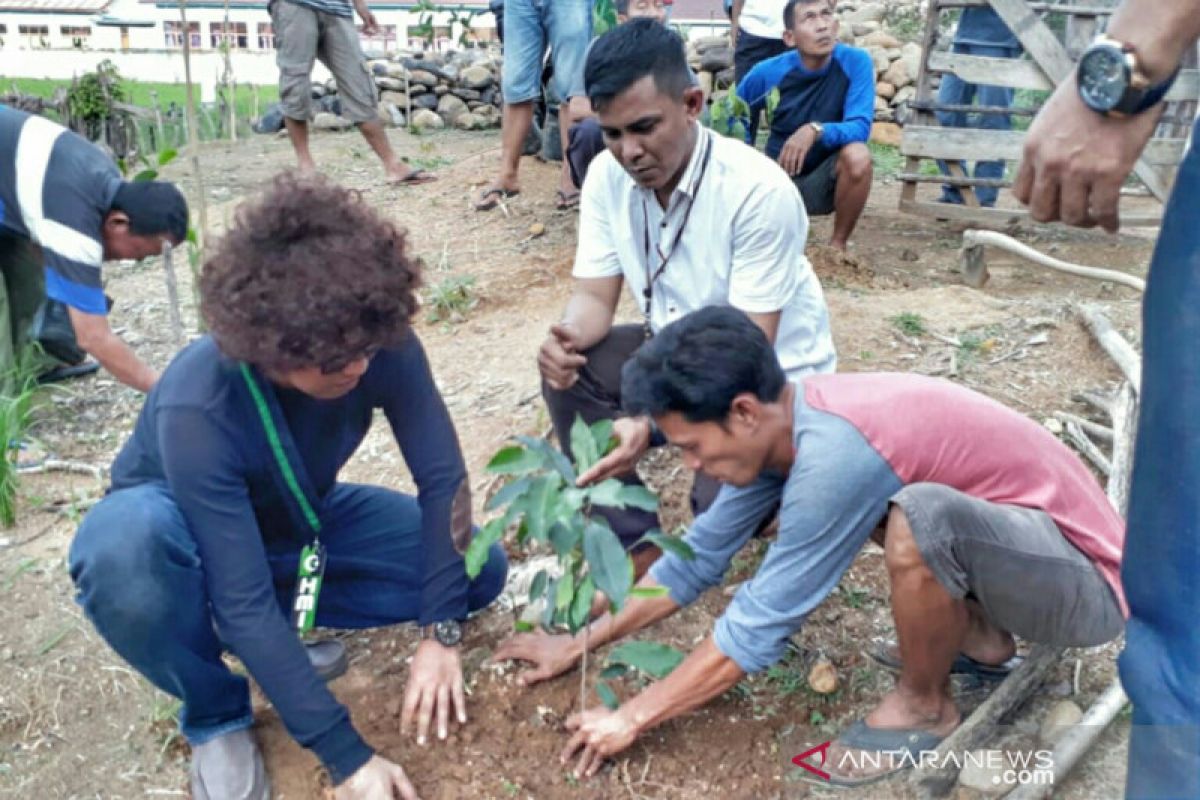 Dua ratus ribuan bibit pohon ditanam di hutan lindung Lahat