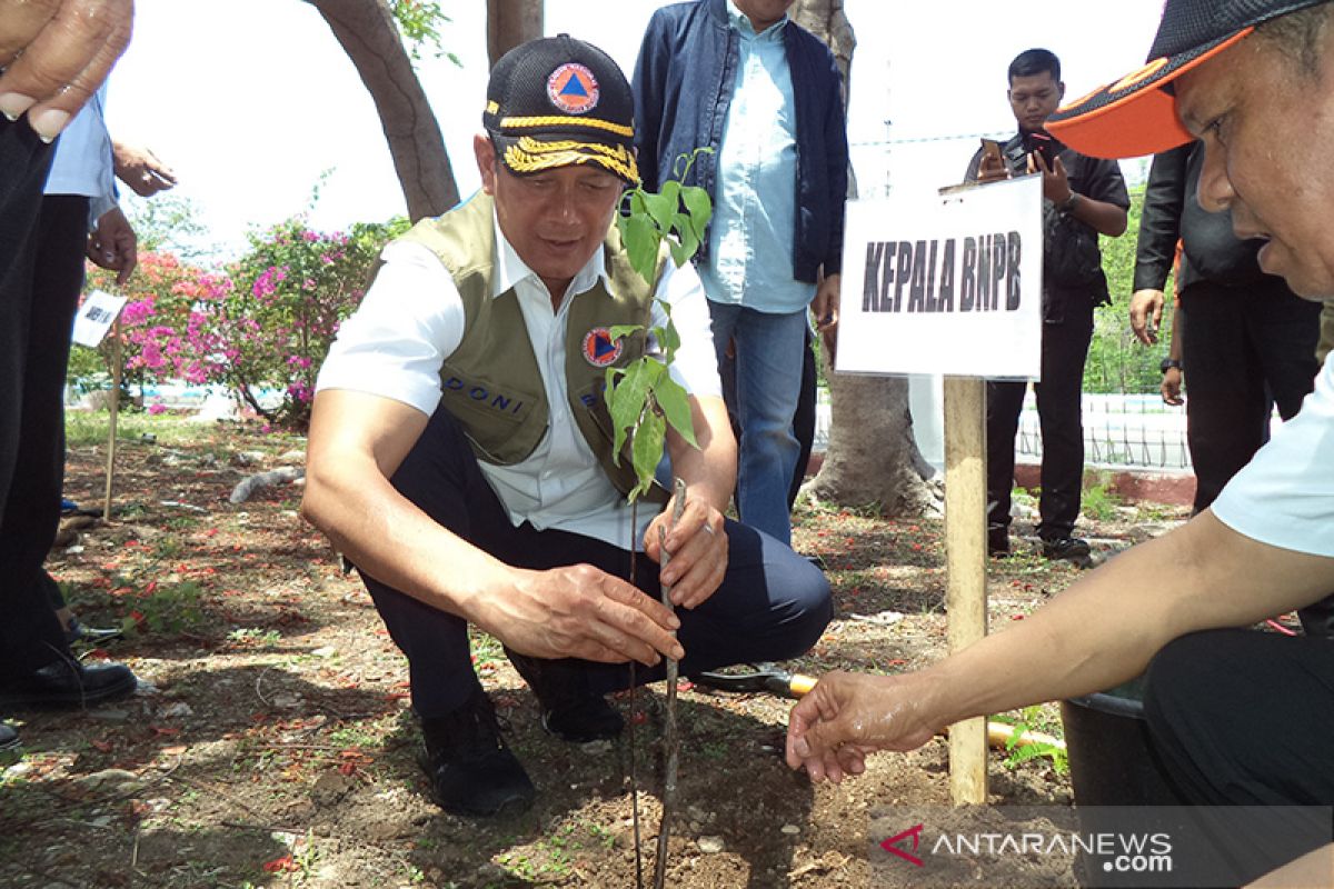 BNPB bantu NTT 10.000 anakan cendana