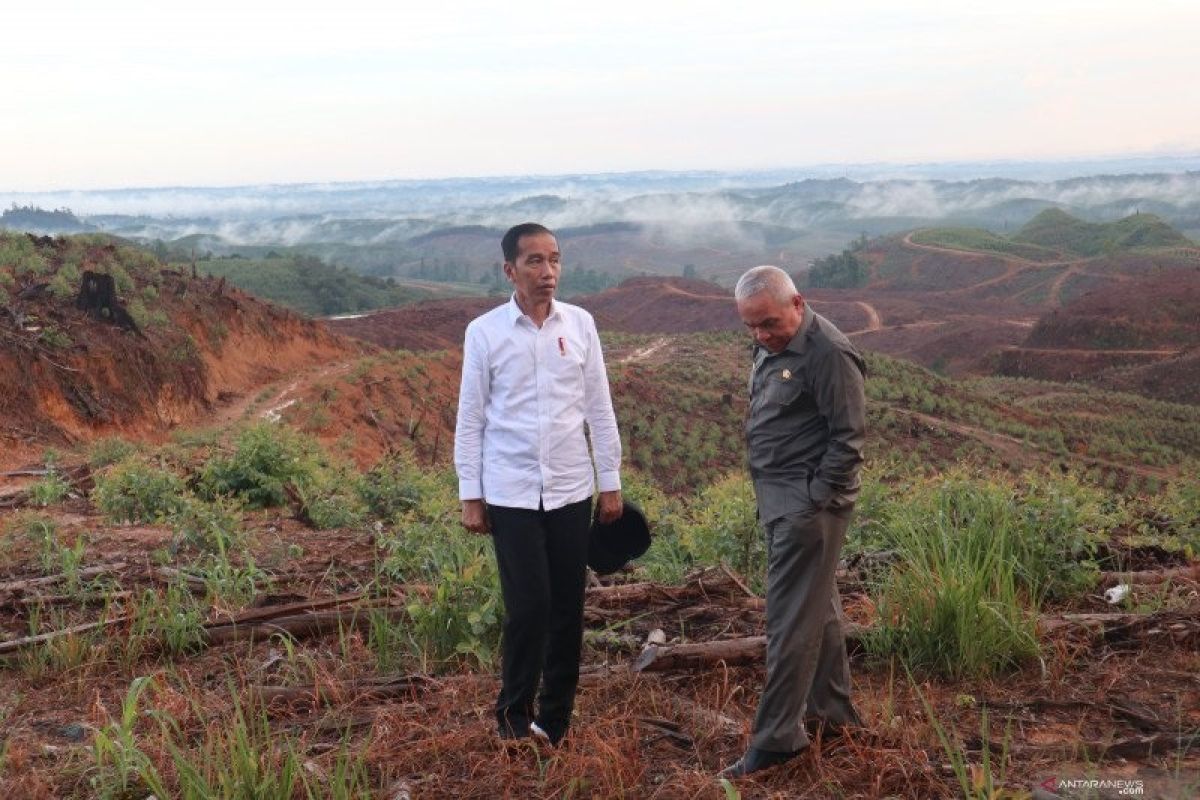 Presiden RI Joko Widodo tinjau lokasi ibu kota baru di kawasan konsesi HPH