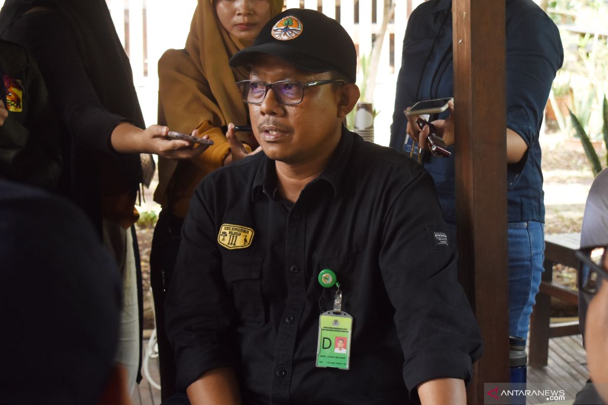 BKSDA Jakarta lepasliarkan 40 ekor ular di taman nasional selama 2019