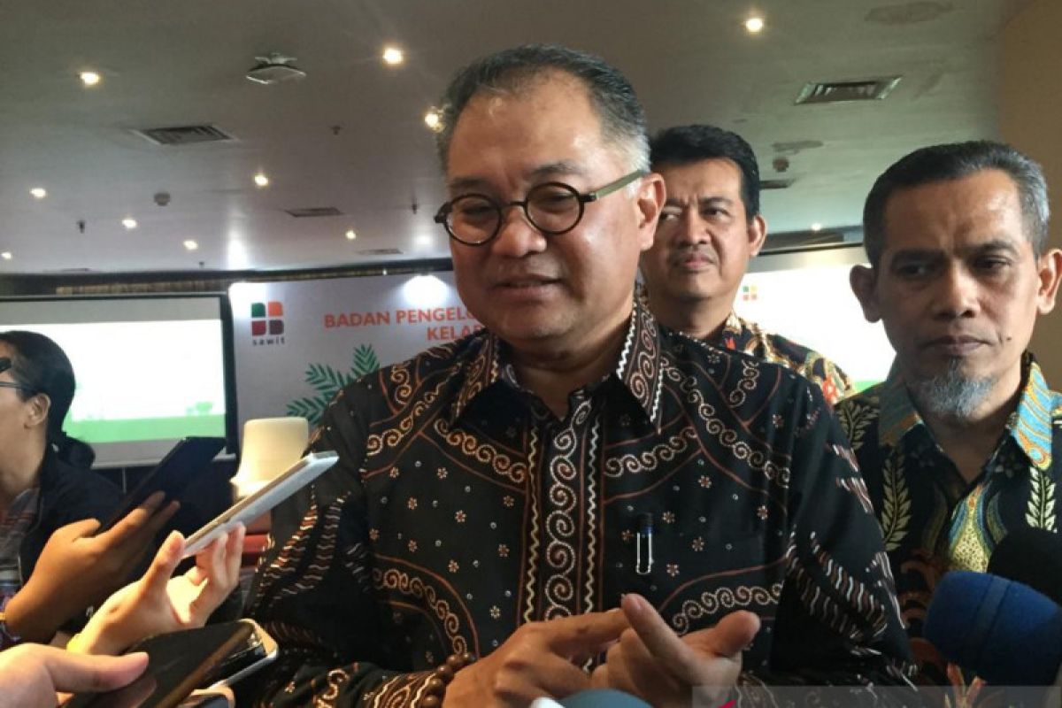 BPDPKS tunjuk lembaga surveyor percepat peremajaan sawit 500.000 ha