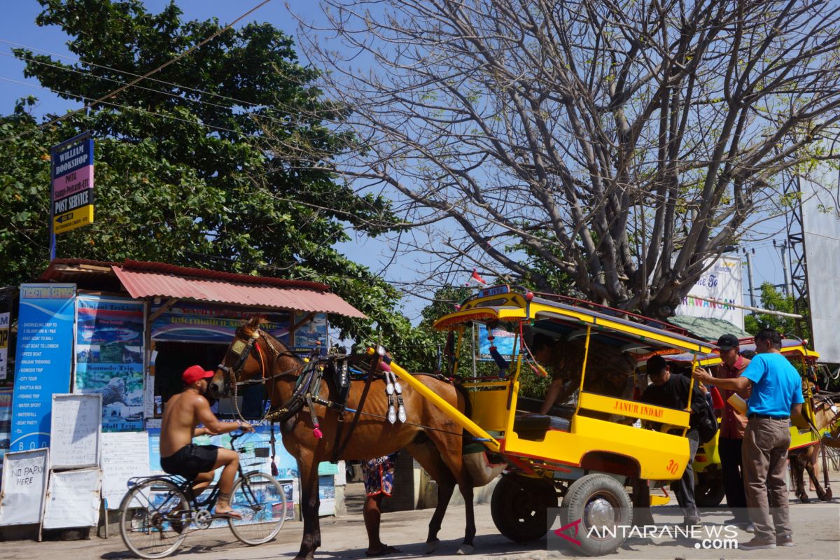 PHRI akui dana hibah pemerintah dapat selamatkan industri pariwisata