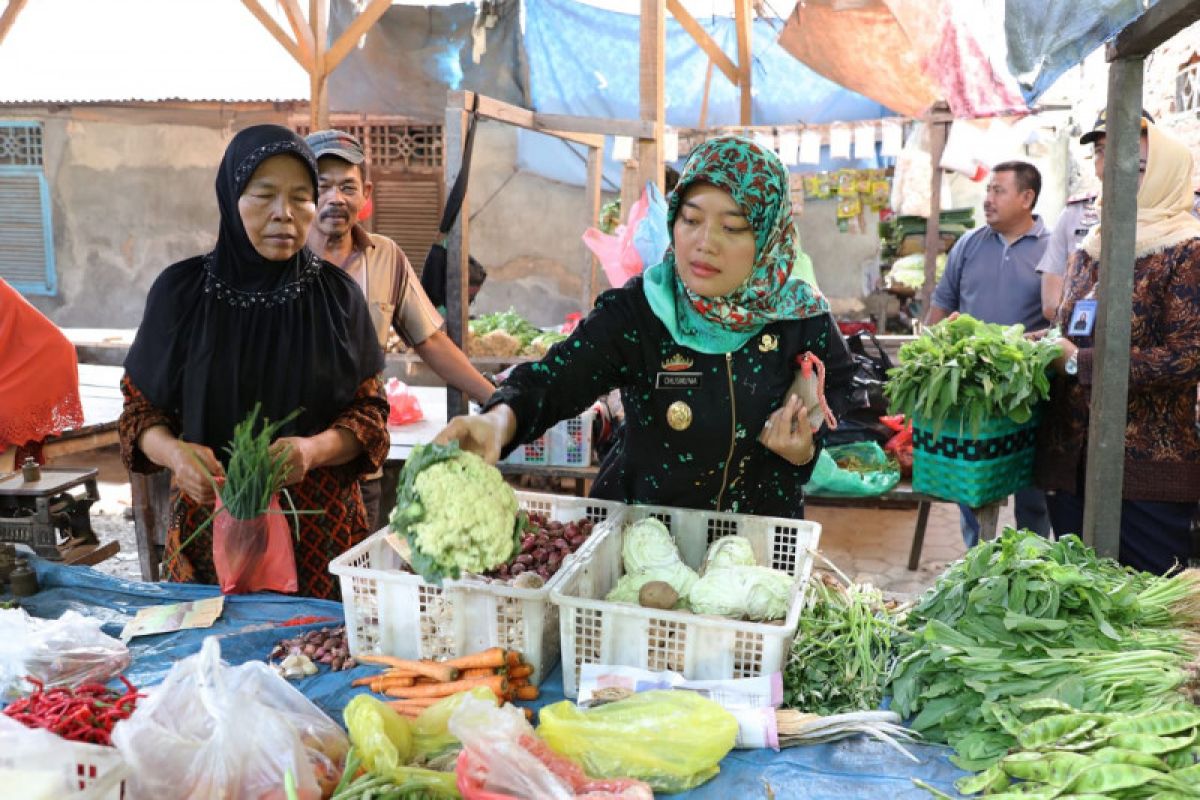 Wagub Lampung Chusnunia buka kegiatan pangan murah jelang Natal