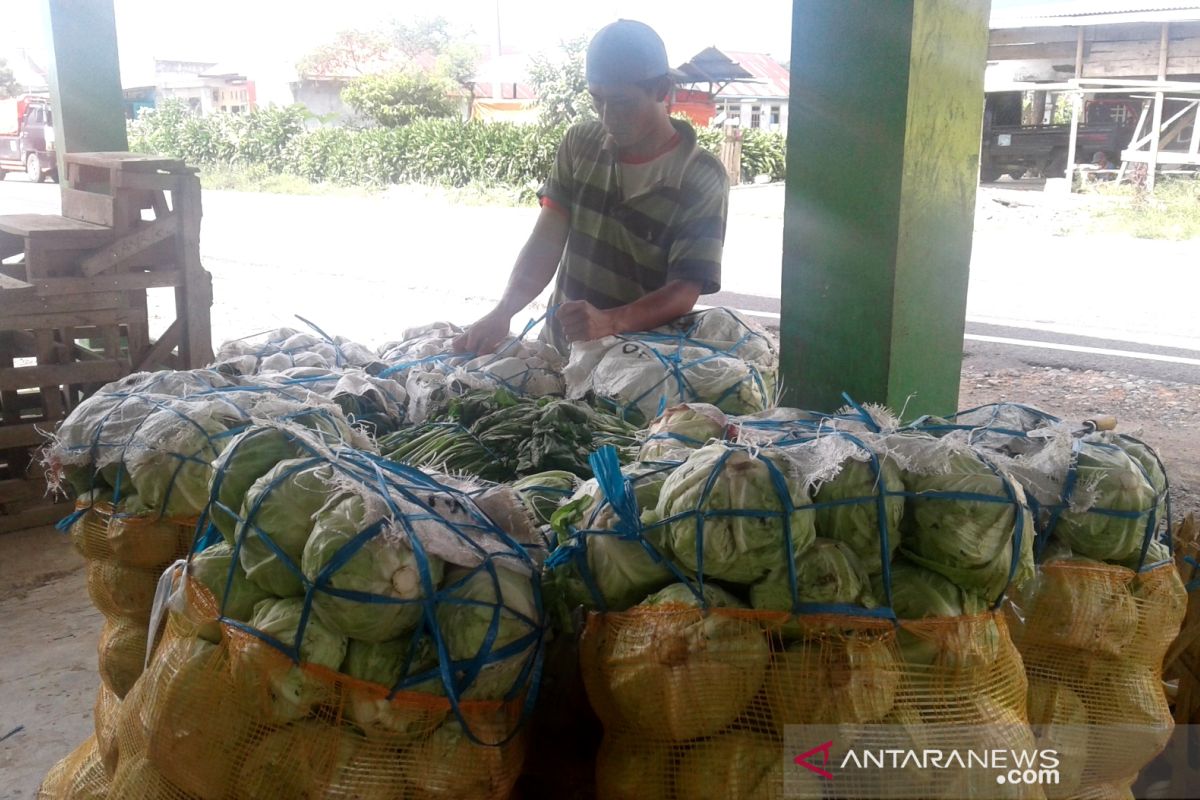 Produk pertanian Rejang Lebong masih tinggi kandungan residu kimia