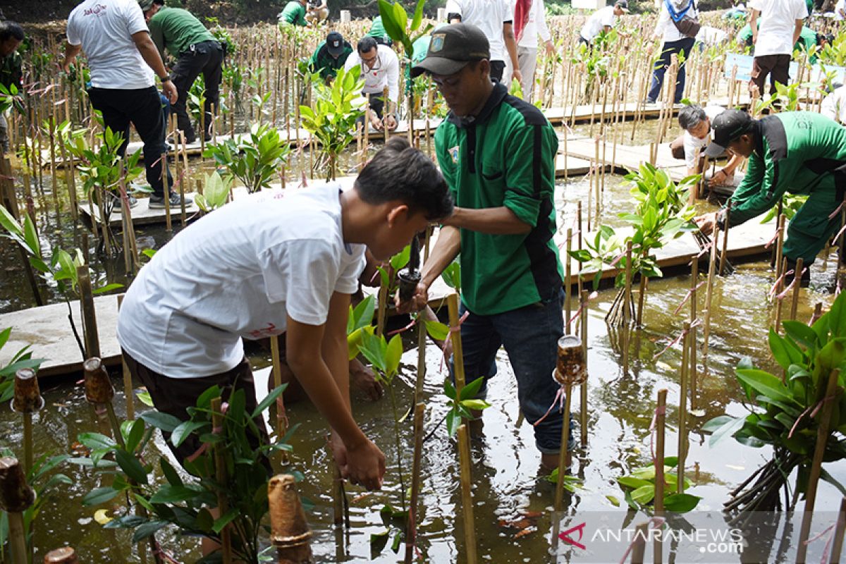 Bank DKI mulai kembangkan program keuangan berkelanjutan