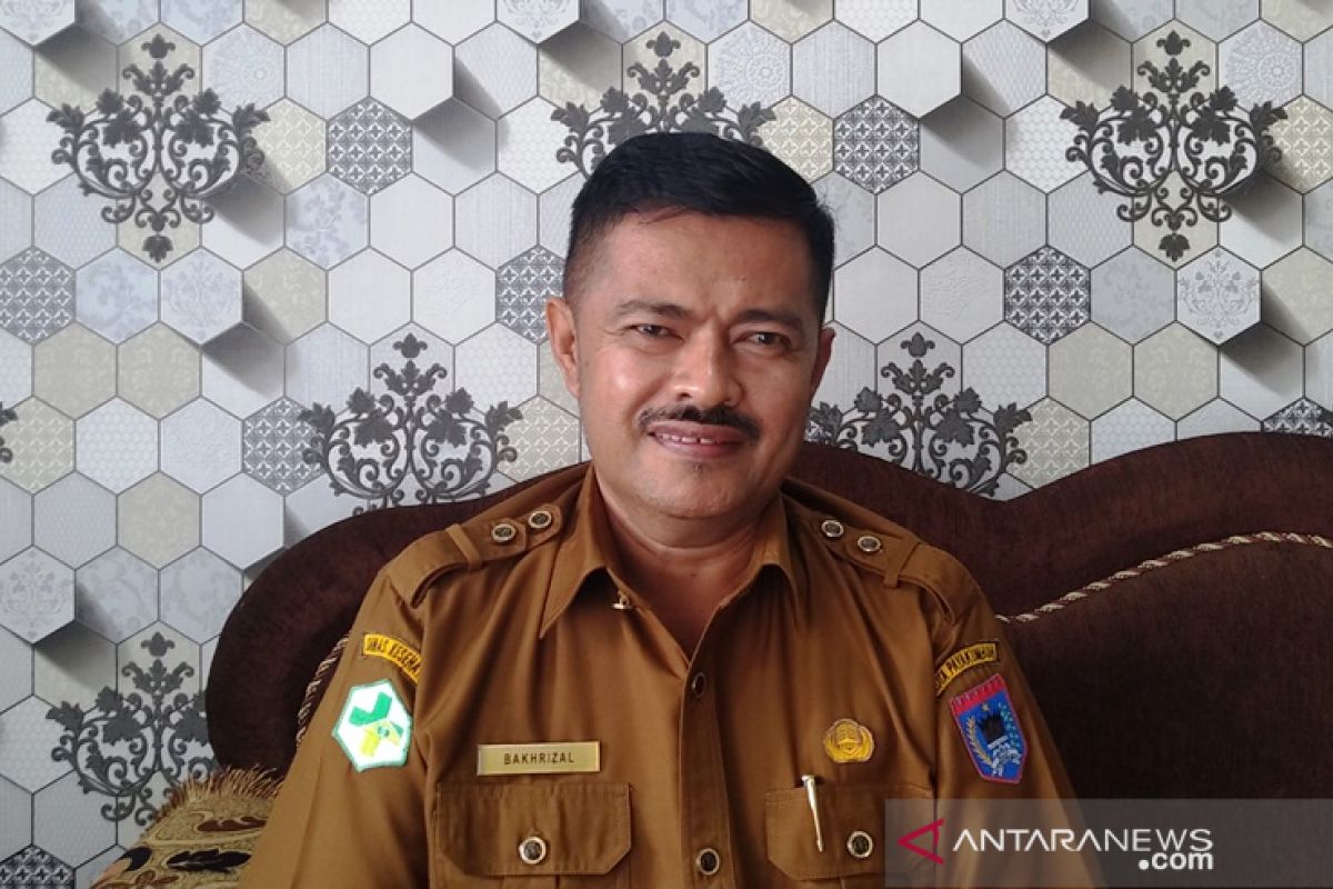 Sepanjang 2019, 74 kasus DBD di Payakumbuh