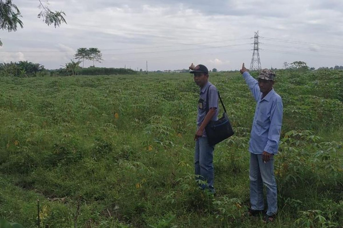 Kementerian BUMN diminta beri kemudahan masyarakat tidak mampu memiliki lahan eks HGU PTPN II