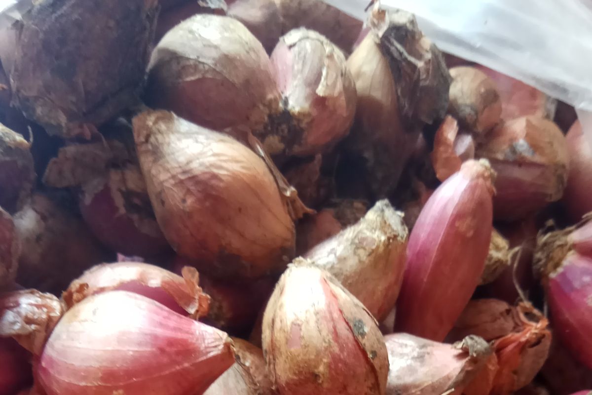 Harga bawang merah di Mesuji naik