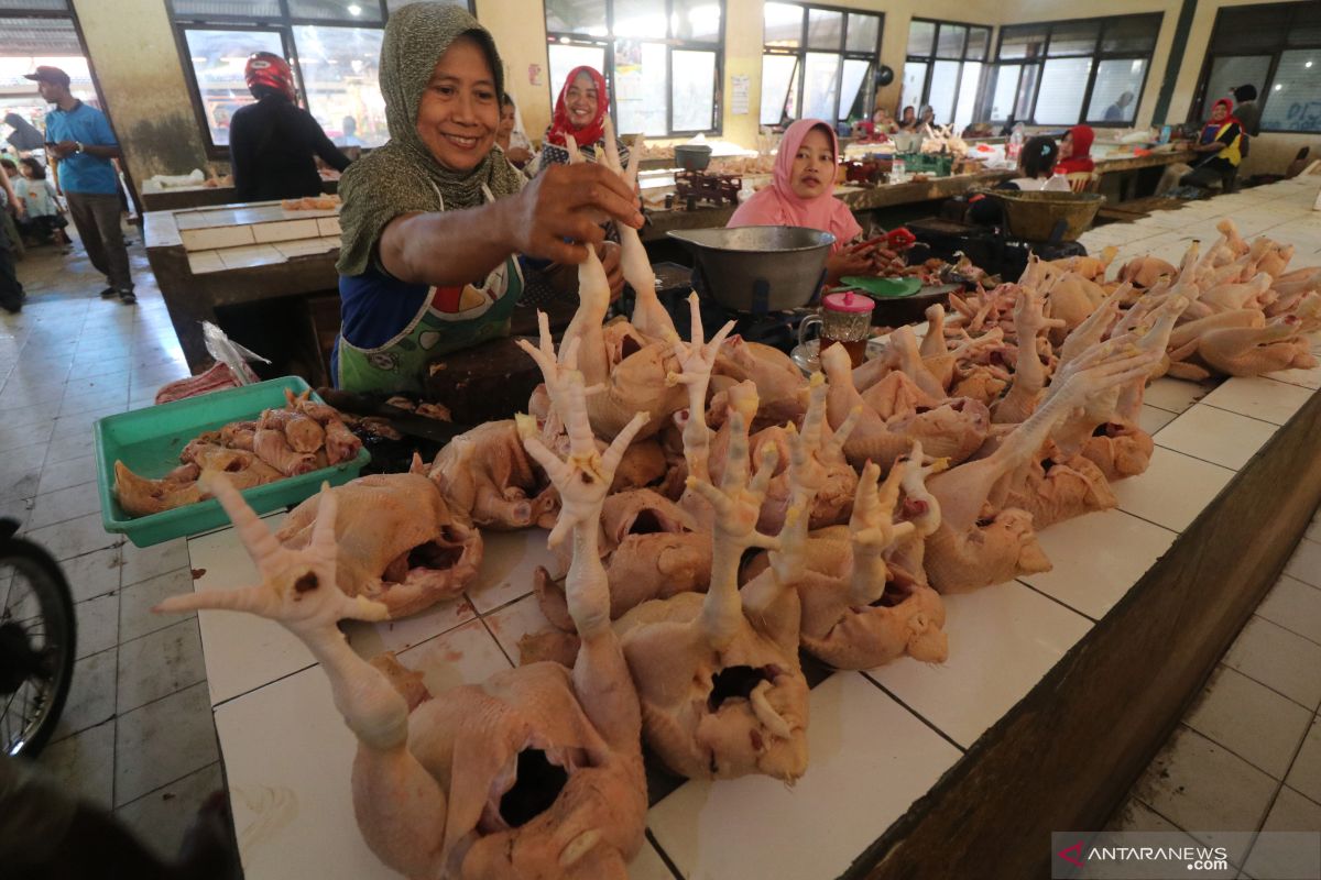 Harga daging ayam Rp23 ribu/kg di Bengkulu