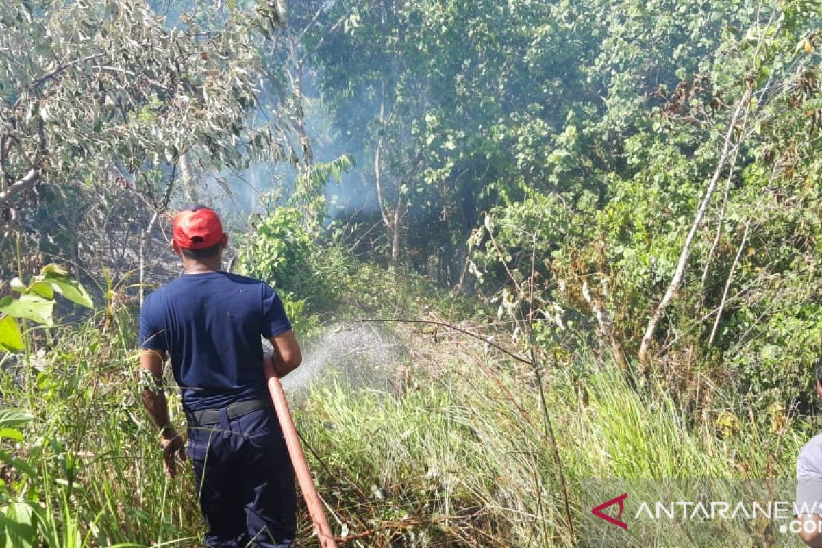 Polisi selidiki penyebab Karhutla di Passo Ambon