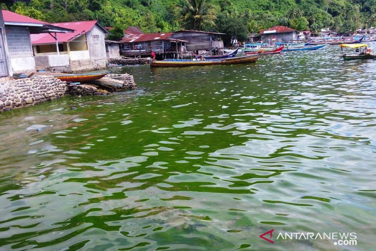 Penyebab air laut hijau masih misteri, DLH Sumbar turunkan tim ambil sampel