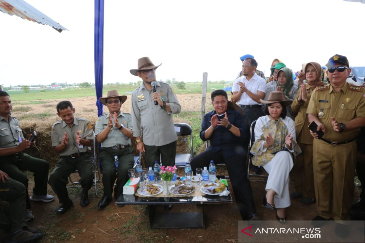 Mentan tegaskan Sumsel harus jadi gerbang pangan nasional