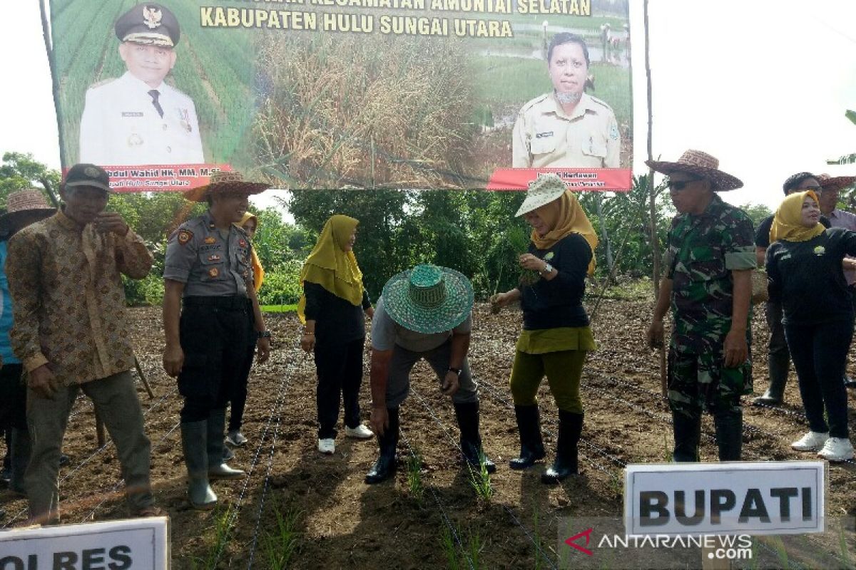 HSU siapkan 594 hektar lahan untuk dua kali tanam