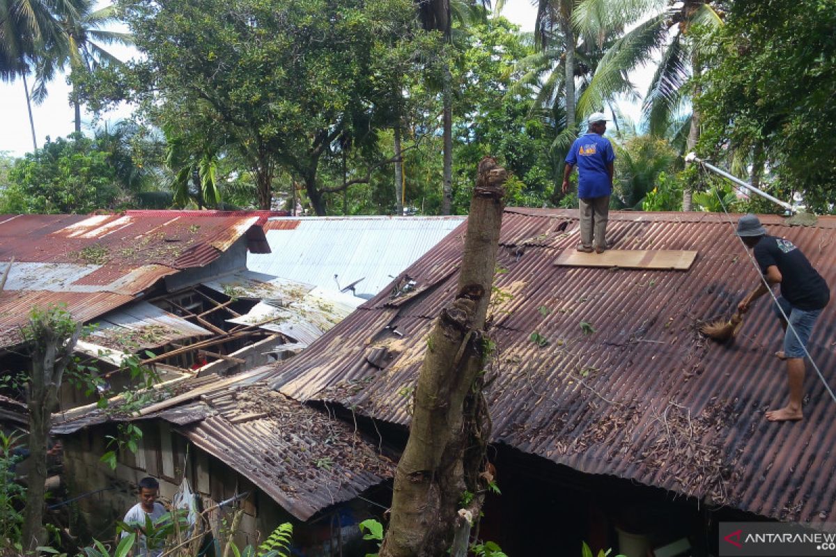 Dua rumah warga Bukit Gado-Gado tertimpa pohon