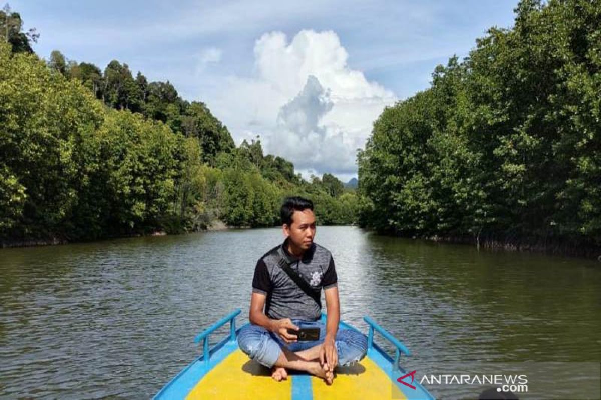 Asyiknya menikmati hutan mangrove Aceh Jaya