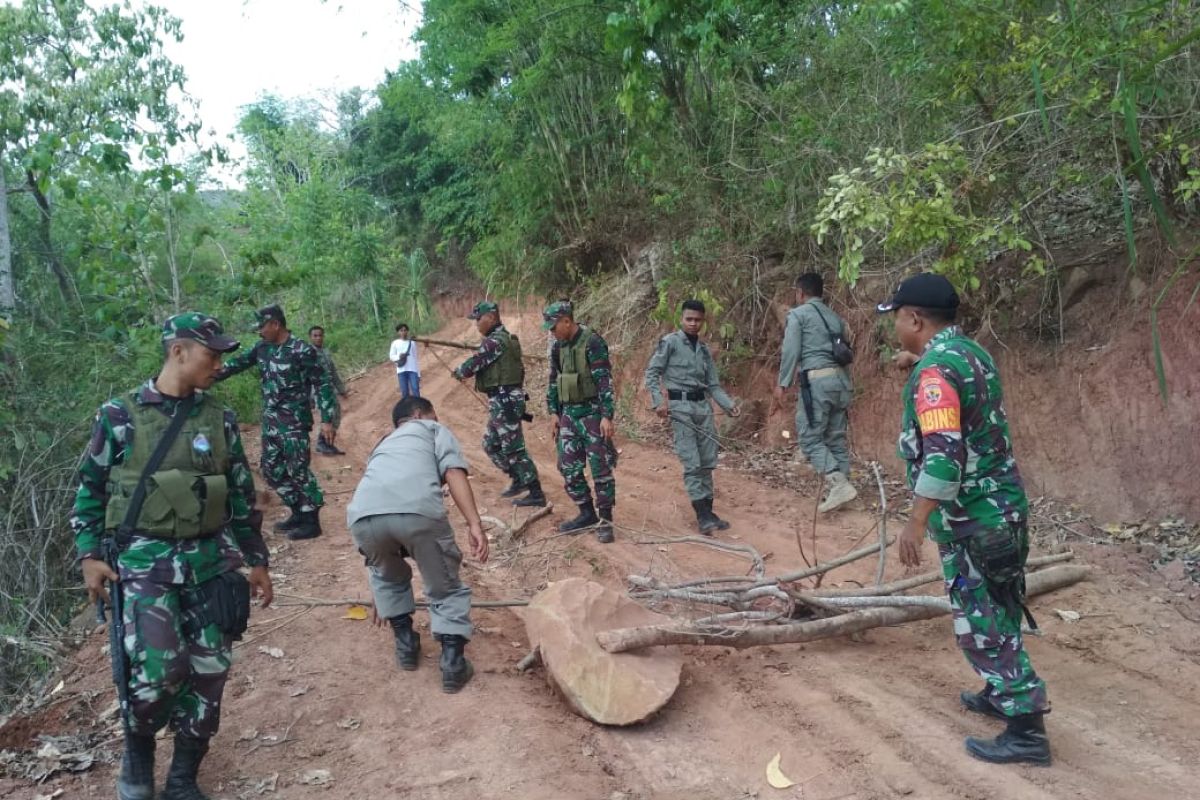 Aparat gabungan mengamankan pelaku penebangan liar di Bima