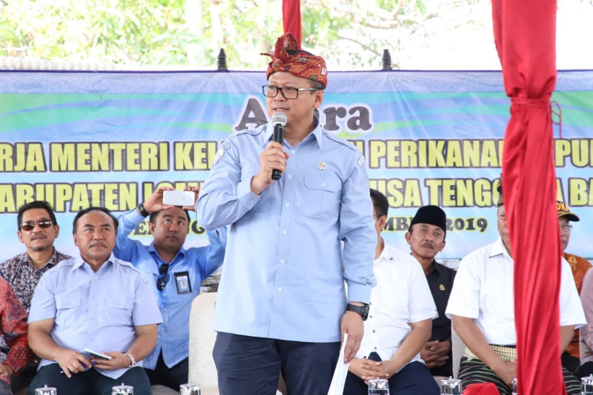 Menteri Edhy: Pembesaran benih lobster dorong nilai tambah