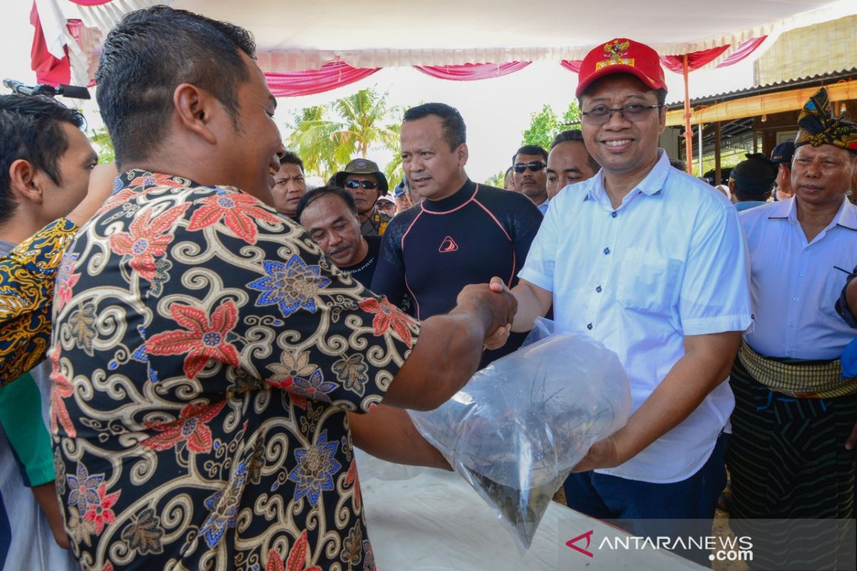 Gubernur NTB harapkan peternak lobster sejahtera setelah lima tahun puasa