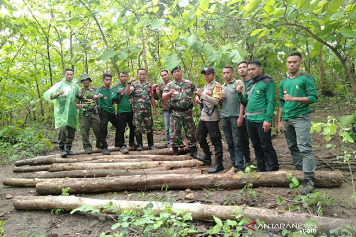 Petugas gabungan amankan puluhan batang jati hasil penebangan liar