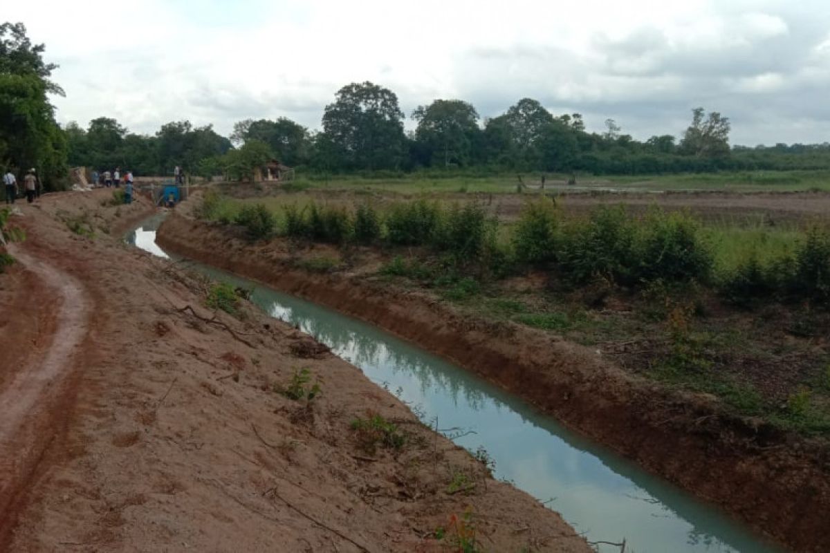 Petani Musi Banyuasin  optimalkan rawa tanam padi