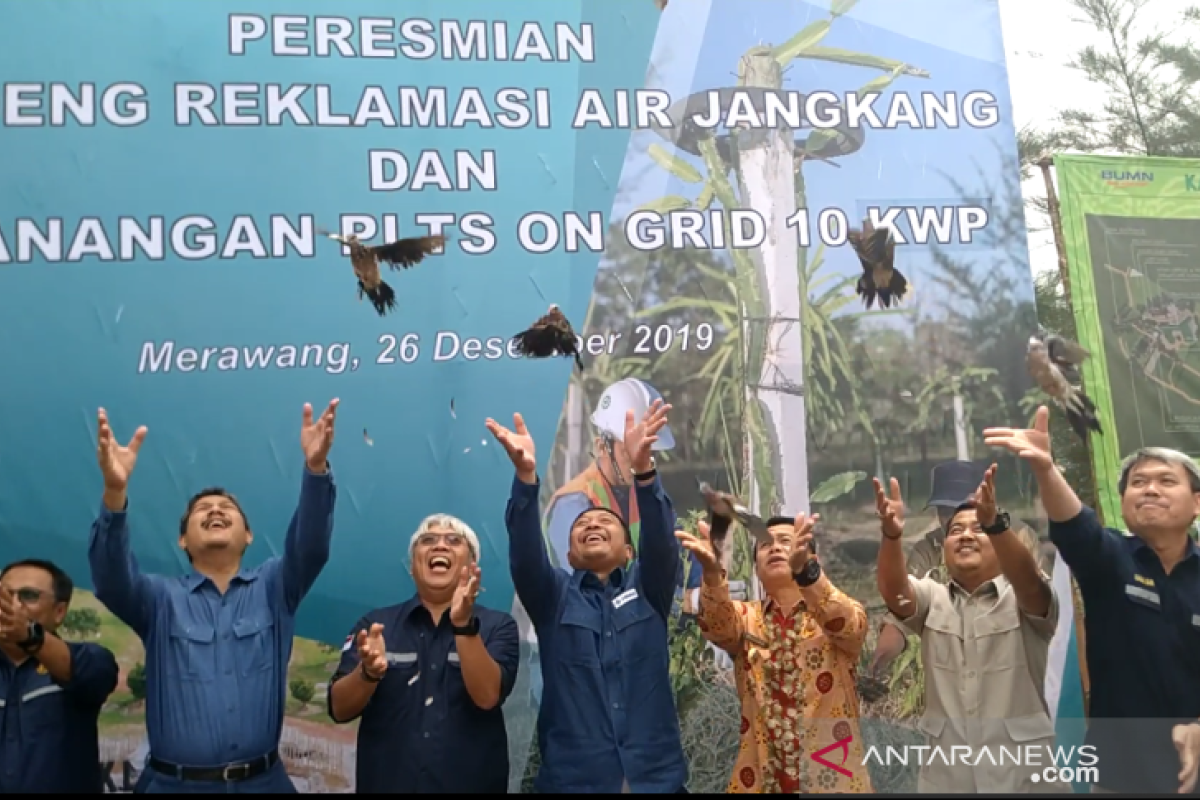 Ratusan burung endemik Bangka Belitung terancam punah dilepasliarkan