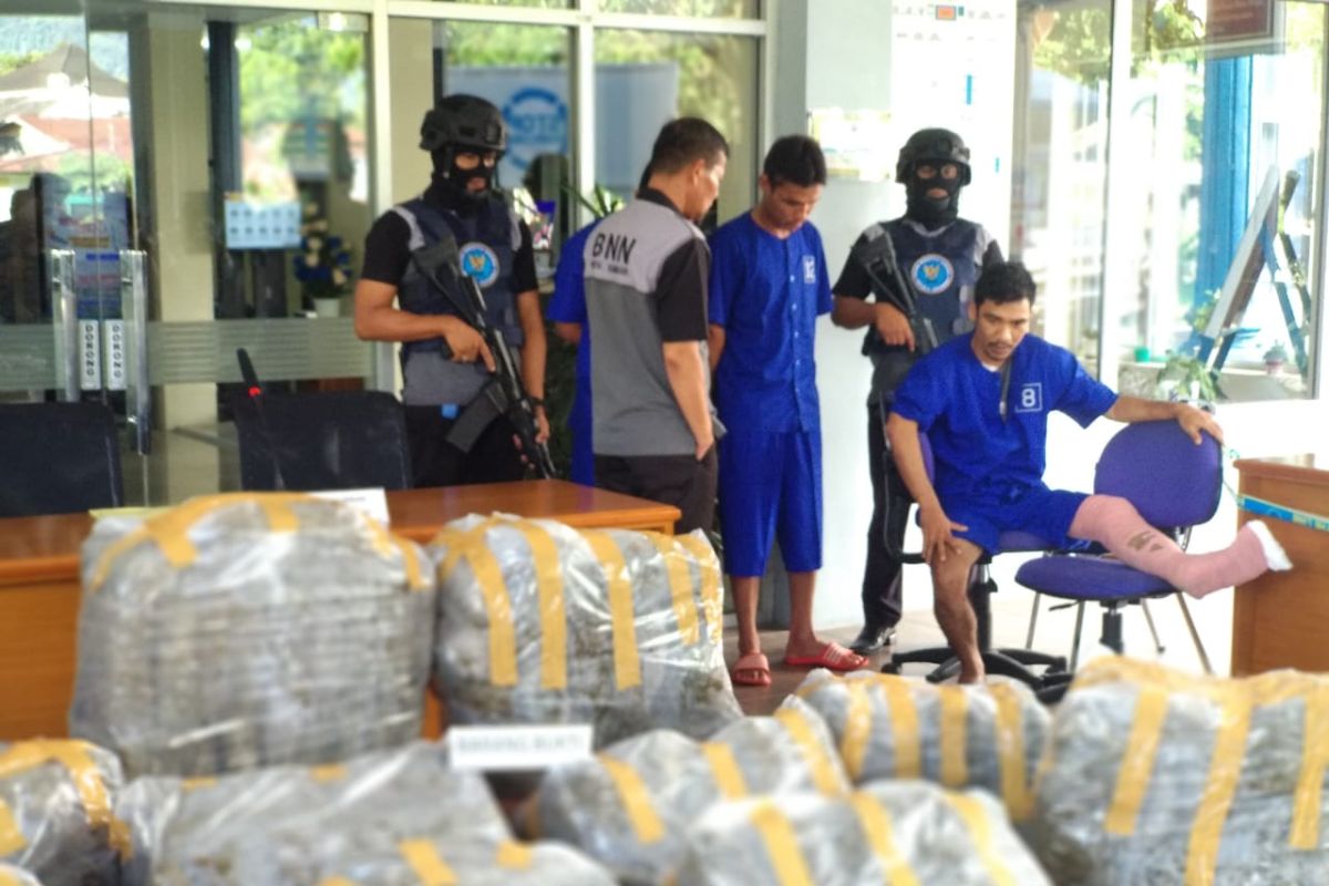 BNNP  Sumbar ungkap peredaran ganja seberat 183 kg