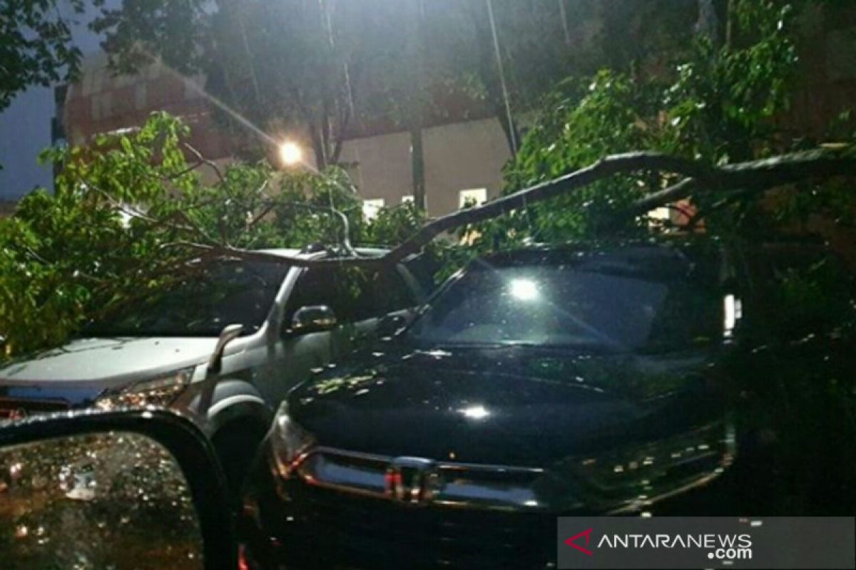 Hujan ekstrem di Palembang menurut BMKG dipengaruhi badai tropis phanfone