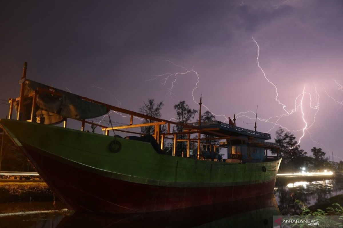 Hindari berteduh di bawah pohon saat hujan disertai petir